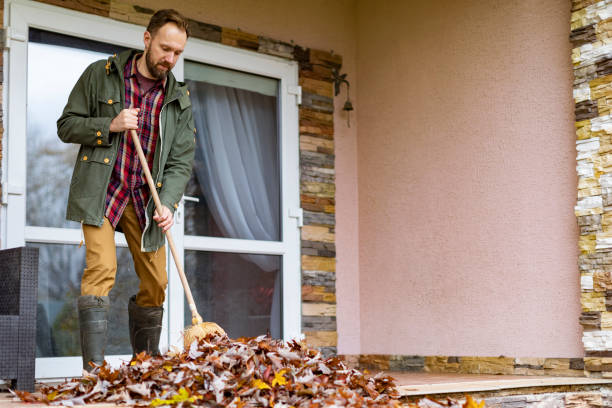 Best Dumpster Rental Services  in Willards, MD