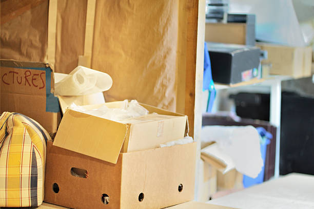 Professional Junk Removal in Willards, MD
